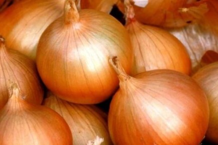 ��� �����: ������� ������� ��� ���������� �������