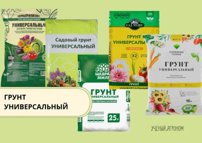 ����� ��� �������: ��� �� ���������� ������������� ������