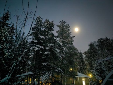 ����� �������� ������ ����� ��������� � ������� ������ �������