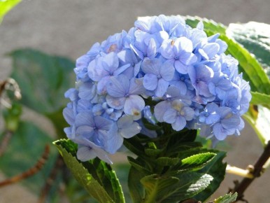 ����� ���� ��� ���� ���������� ��������� ��� ������ ������