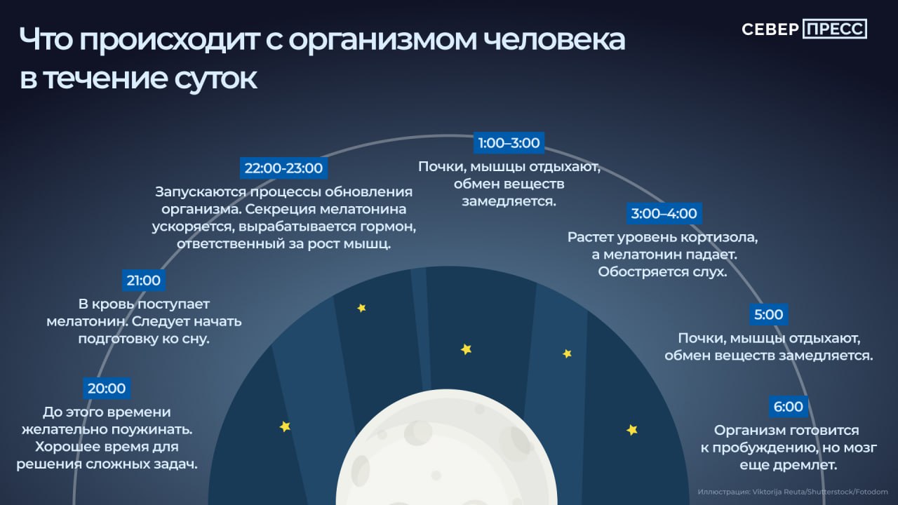 Если вы просыпаетесь без будильника, чувствуете голод в одно и то же время — это результат внутренней настройки организма Если вы просыпаетесь без будильника, чувствуете голод в одно и то же время — это результат внутренней настройки организма