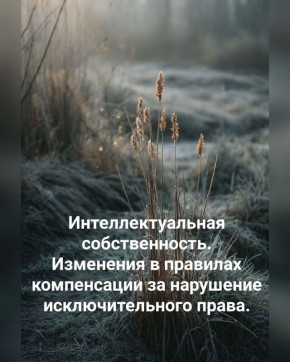 Новые правила компенсации за нарушение исключительного права изменяют расчеты и ответственность