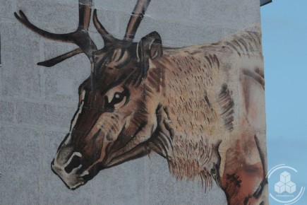 ������ ����, ������!. ˸����� ��� ��������! #��������