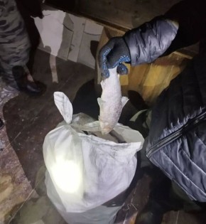 В Шурышкарском районе задержан 53-летний мужчина за браконьерство на 300 тысяч рублей