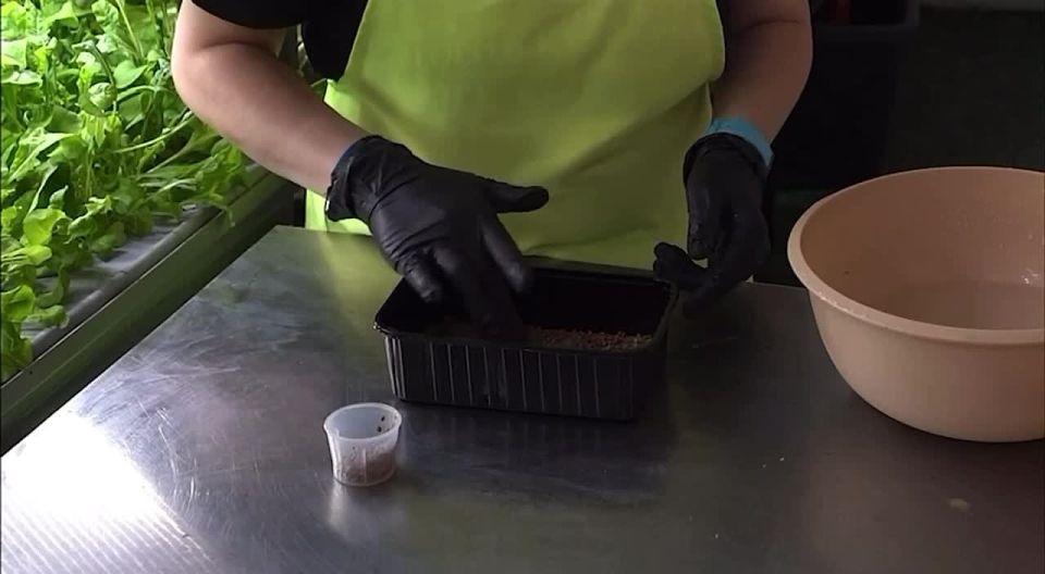 Салехард снова на «Первом канале»