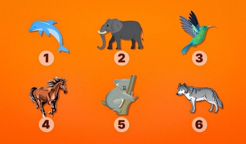 ����� ���-�������� �������� ���? ��������� ���� ����� � ������� ���������� �����