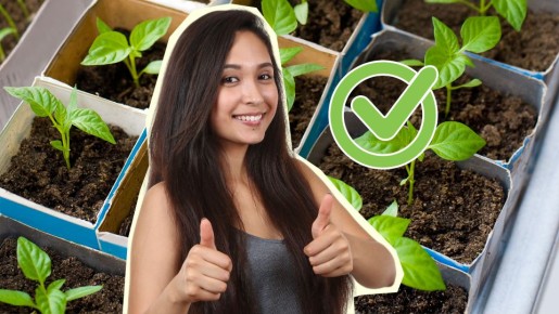 ������ ������� ����� �� �������: ��������� ����� ���� ��������� ���������