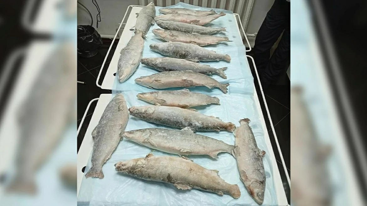 В ЯНАО задержали 53летнего северянина за браконьерство