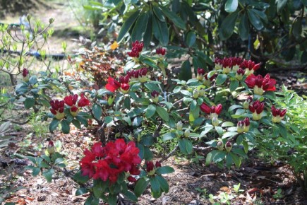 �������� ������ ����� ��� � ����� ����