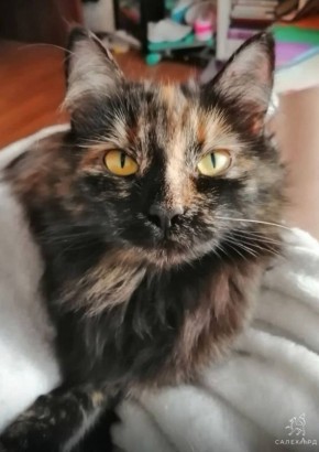 ��� � ���� ���� ���. �������� ��������� ����������� �������� 16 ��� �����, ����� ��� ��� �������� �������. �� ����� ������, � �� ����� ������� ��� �� ����, � ��� ���� ������ ����� ���������. �������, � ���������...