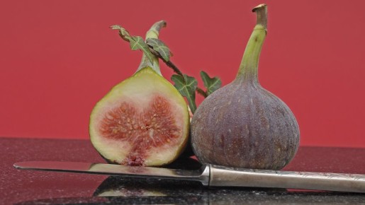 ����������� ������: ����� � ����� ����� �������� ������ ����� � ������