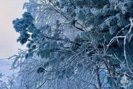 ��� �� �������� �������? ��������� � �� ������� ����! (� � ����������� ��, �� ������ � ������� ����� �� ������� )