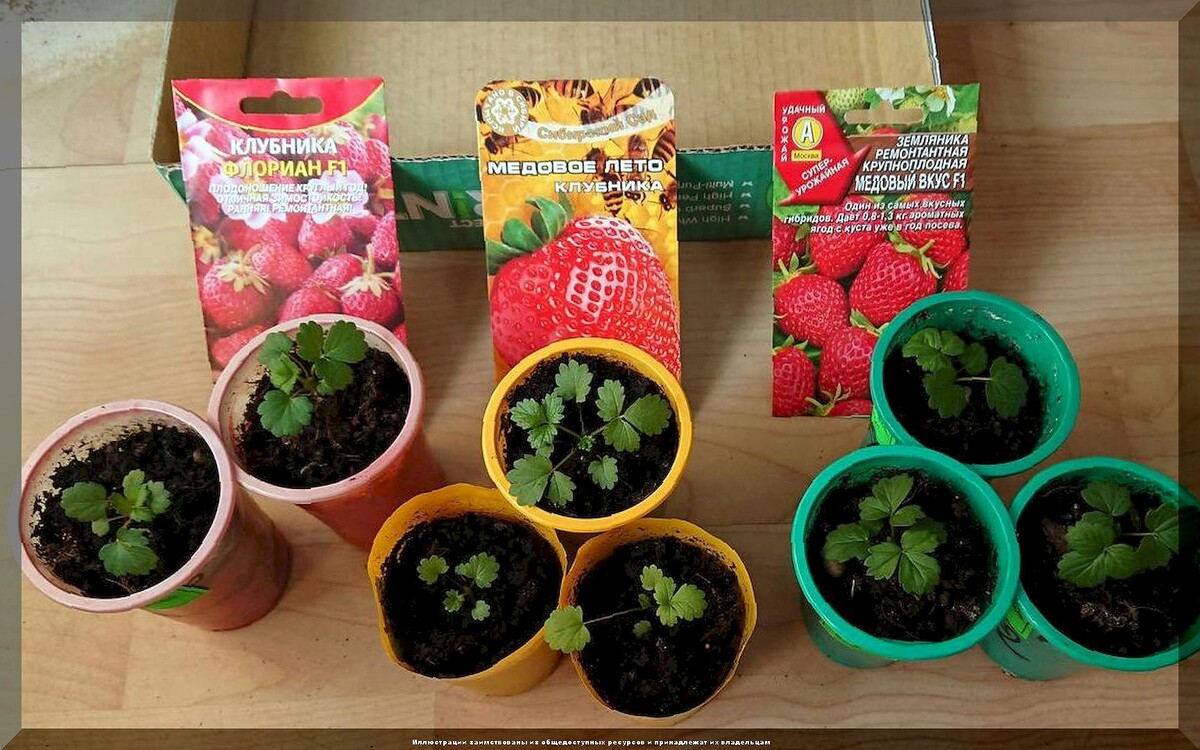 Что стоит знать дачникам: 35 ответов на актуальные вопросы