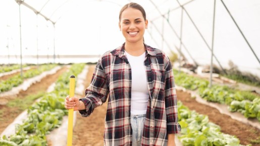 ������ ������� ��� �� ������� ����� �������� �������: ����� ����� ������ �� ���������