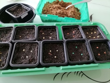 ������ ����� ������ ������ � ���������� ������� �������: ����������� ���������� ������������