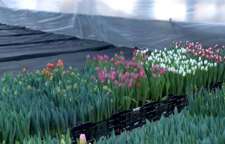 � ������� ������ ��������� ��������� ��������� �����