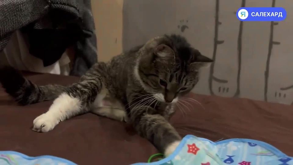 ������� �� ���������� ������