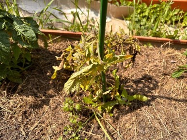 ����������� ������ �� ���������: ��� ��������� ������ � ������� �����