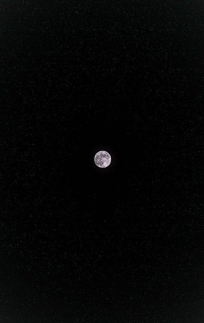 ���� ������� �����. ��������� ����, �����! ��������