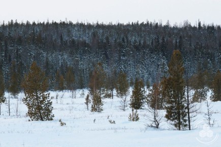 ������ ������� � ��� ����������� ��������, ��� ������ �������� � ���������, � ������ ������ � ������������ ���������