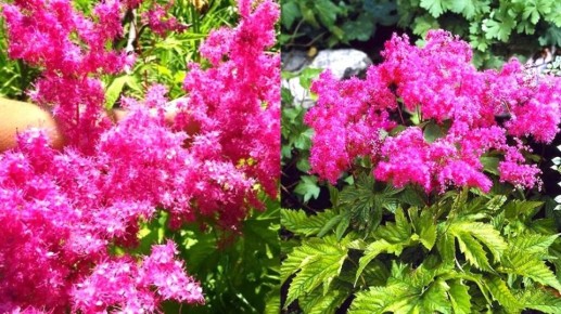 ������������� �����, ������� ���������� ���� � ����