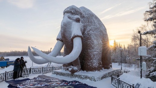 ����� �������� ������ ����� ���� ����������� �������