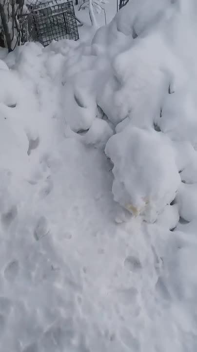 � � ������ ��� ��� ����������