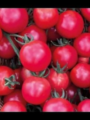 ����� ���������� �������: ��������� ����� ��� ��������������� � �������������� ������������