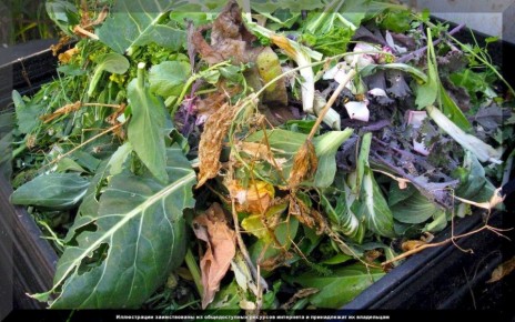 ��� ������� ������ ������ �� ������������ �����: �������� ������ ��� ���������