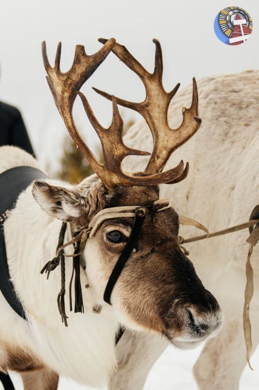 � ��������� �������� ���������� � ��������� �����