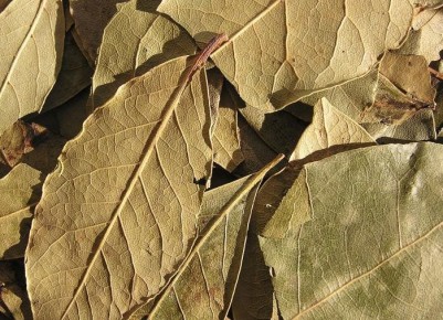 ��� ������������� ��������� ����� �������� ���� ����� ����� ��������