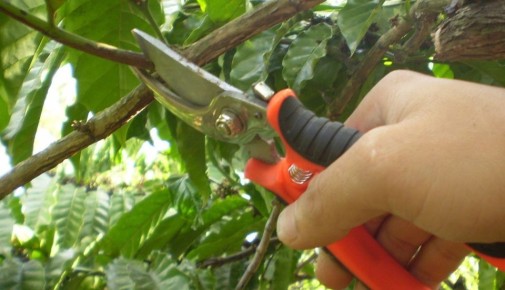 ��� ��������� �������� �������: ������ ��� ���������