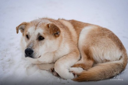 ������� � ������ +5. � ��� ��� ����� �����, ������� ������ �� ������