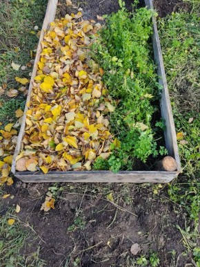 ������� � ��������� ����� ��� ������� ������� ��� ����