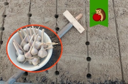 �������� �� ������� � ������ ������ ������� � ��� ������