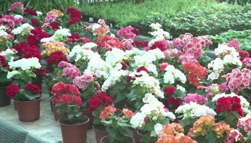 �������� ��������� � 8 �����