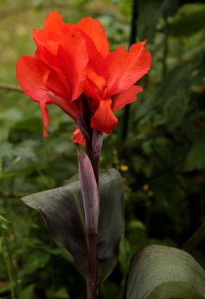 ����� � ����������: ������� ��������� ����� � ��������