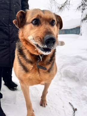 ������ ���� ���� � �������: ��� �������� �� ��������� ����� ����� �� ������ ���������� �� �����