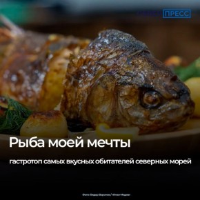 ����� �������� ����, �������� � �������� ����� � ����� � ��������, ������������ ������ �������