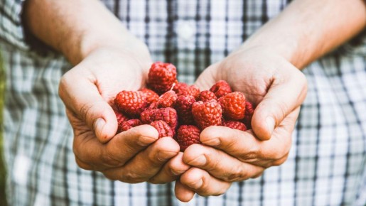 �������� ��� � ������ ������ �����, ��� ������ ����: ������ ������� ��� �������� ������