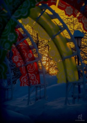 ������ ����, ��������