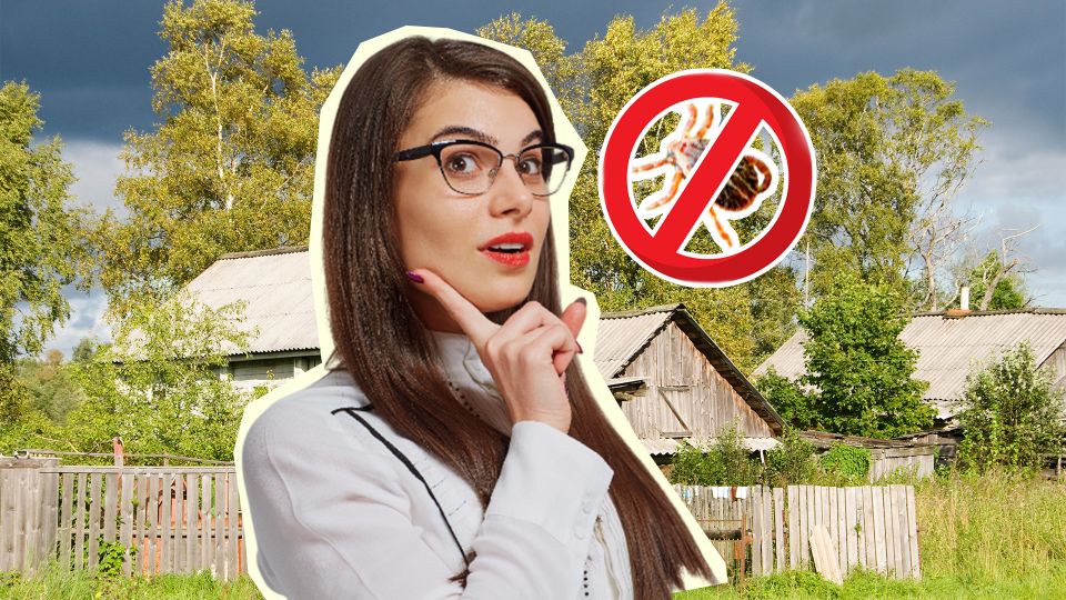 ��� ��� ����� ������, ���� ������ ����: ���� �������� ������� ��������