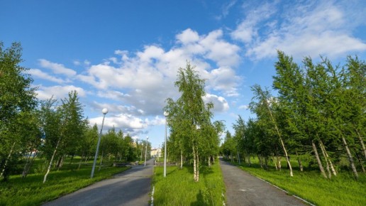 ���� ��� ����: ������ ����� �������