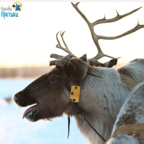 �������� �������� �������� ������ �������� ���, ��� �� ��� ��������� �������� 5 ����