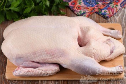 ������ ���� �� ����������� ����: ������� � ������� ������