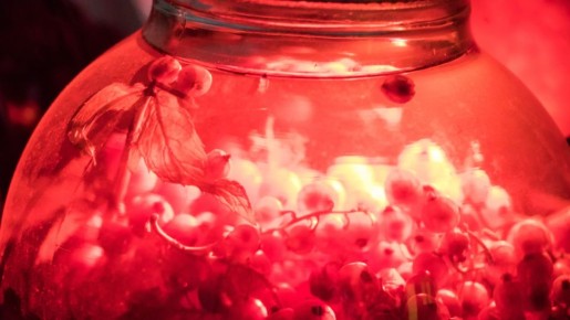 ������ � ����� ������ �� ��������� � �� �����������: �������� ���� �������