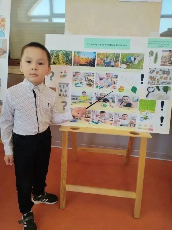 Таинственный мир плесени и поющие бокалы