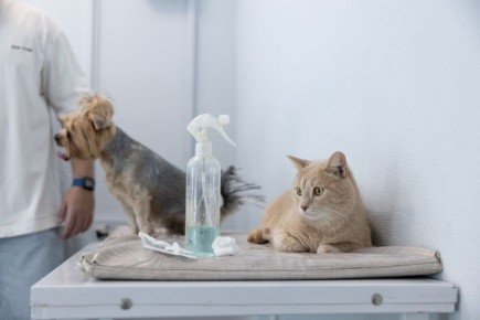 ������ ���������� �� ��������� ���������