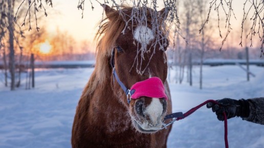 �������� ��� ������� ����: � ����� � �����