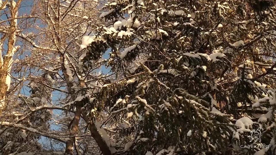 ����. ������� � �����, ������ ���������� � �����